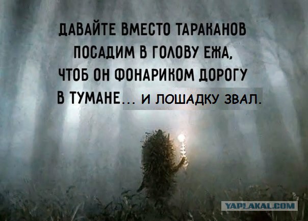 Наркомания, весеннее обострение и деградация