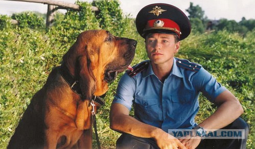 Я вот Путина и чиновников просто обожаю!