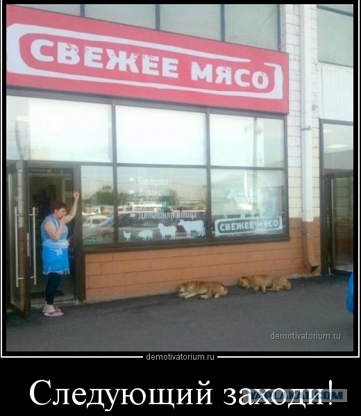 Расстановка точек над i в теме про протесты в Москве
