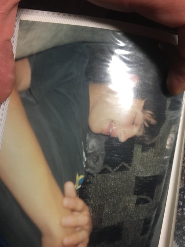 Девять причин, почему вам срочно надо завести кота