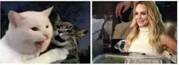 Мем: Две женщины орут на озадаченного кота за столом