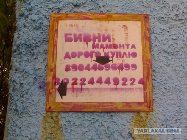 Уличные указатели, бессмысленные и беспощадные