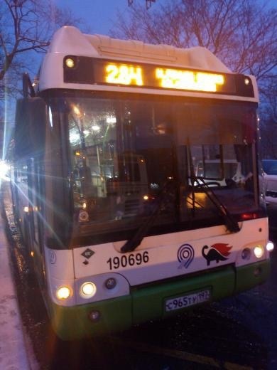 «В столице жизнь бьет ключом»: Среднеазиатский водитель остановил автобус и решил, что весь мир его подождет, пока он молится