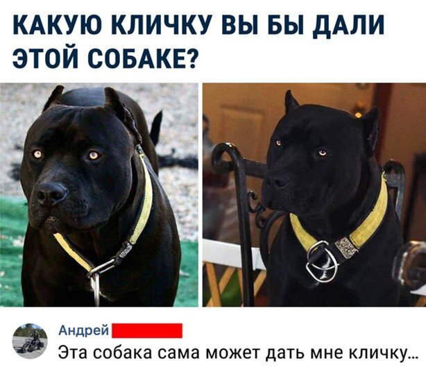 Пара-пара-пам! Фьють! На 13.04.2020