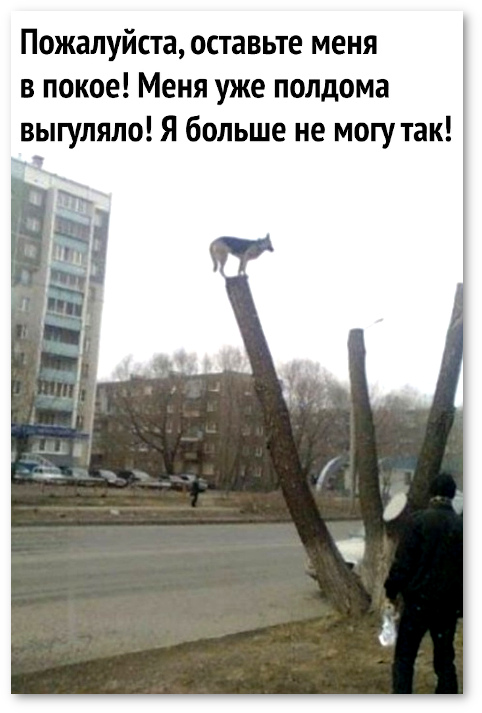 Бредзона 18.04.20
