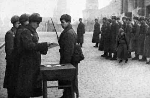 Фотожаба: Бесстрашная бабушка