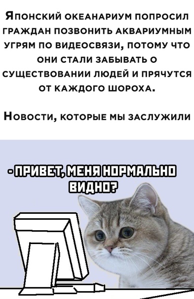 Немного картинок для настроения 02.05.20