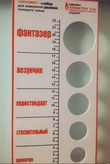 Девушки о размере мужского достоинства. Видео,16+