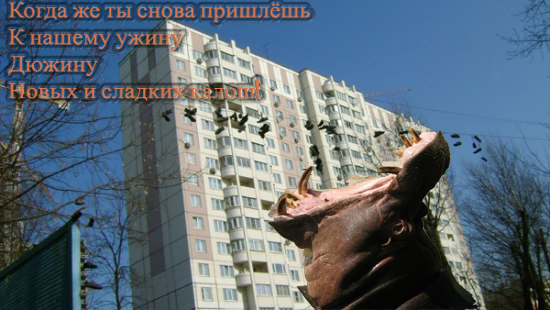 Заказывали такси на Дубровку?