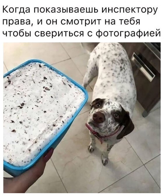 Баянисто-небаянистый юмор. 9.10.20