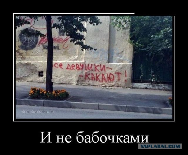 Картинки с надписями и всякие жизненные фразы