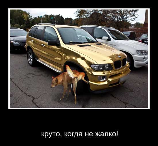Круто, когда не жалко!