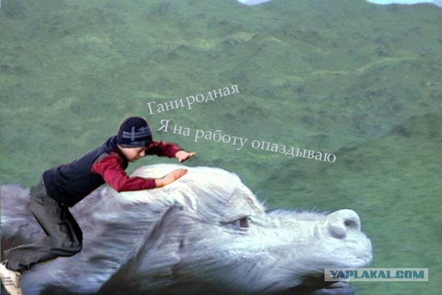 Фотожаба: Гравитация