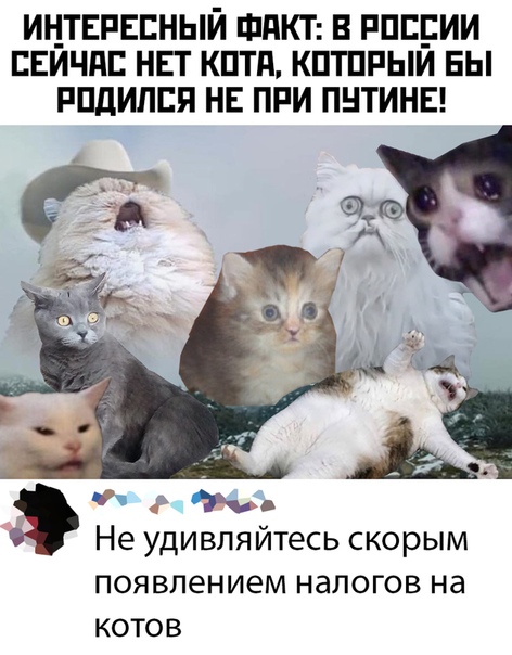 В.В. Путин. Новогоднее поздравление россиян с 2021-м годом