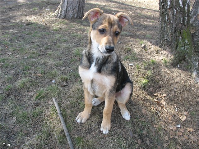 Перемена настроения