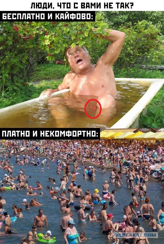 Весёлый полтишок 25.06.