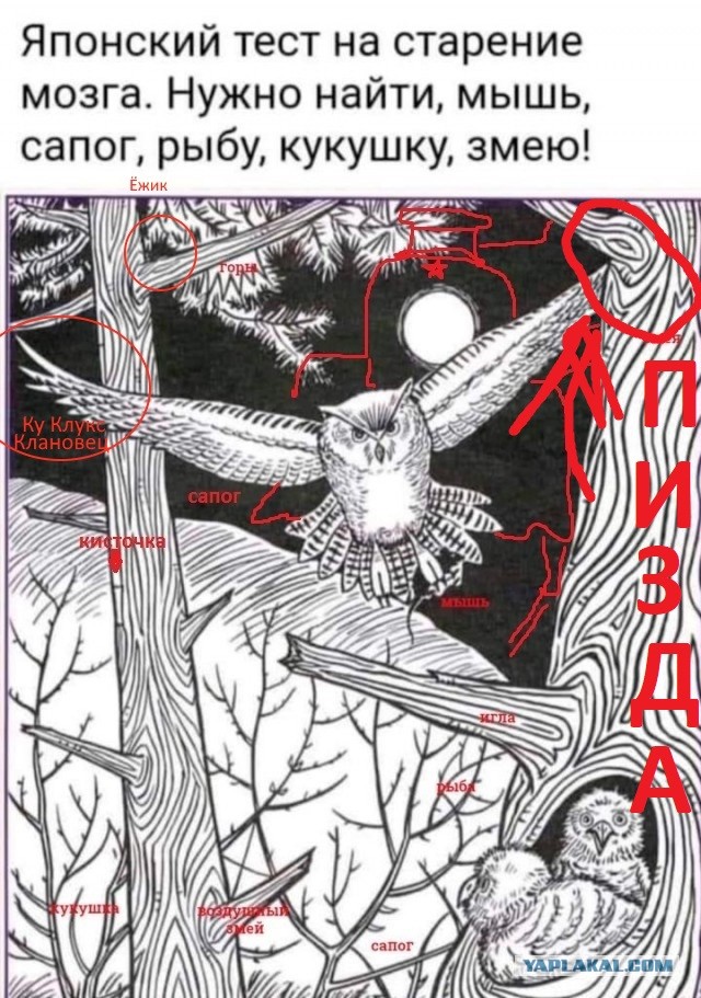 Бредзона 10.10.2021