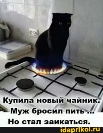 Алкопост 1.11.21