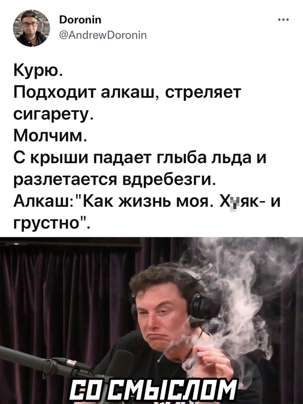 Весёлый полтишок 23.11