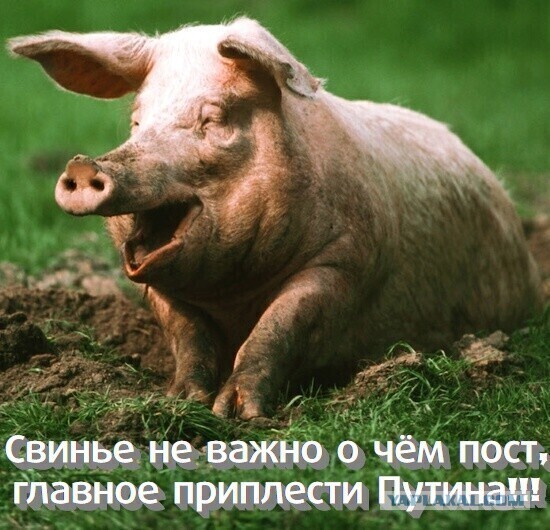 Так себе картинки 24.02.22
