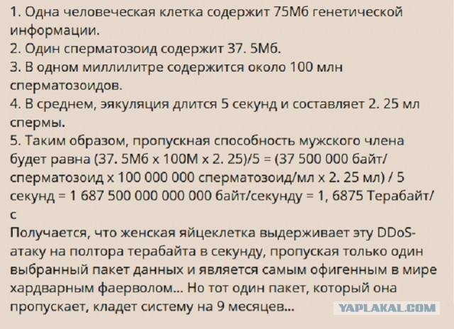 Картинки с надписями и всякие жизненные фразы