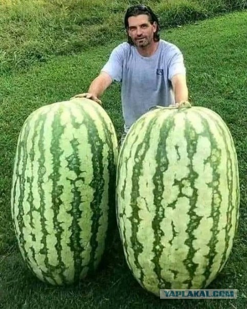 Должна ли жена иметь приданое?