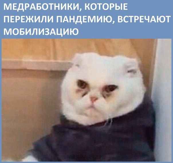 Пандемия съехавших крыш - разновидности болезни. Россия и мир. Часть 43.