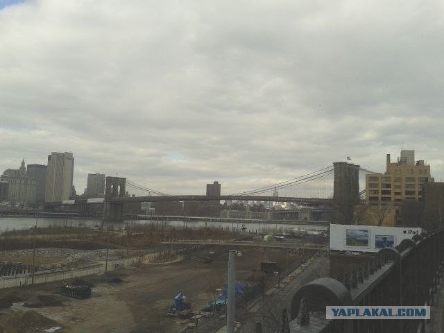 Америка для начинающих