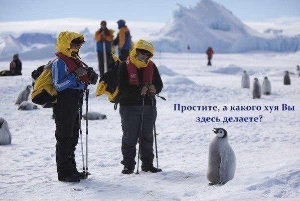 Всего понемногу. Часть 2.