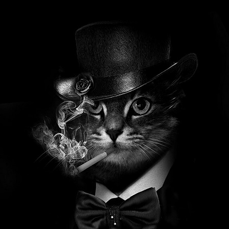 Одинокая женщина желает познакомиться. Часть 2. Свидания.