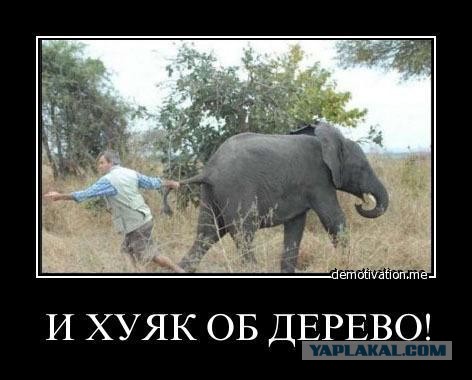 Позывной "Опасный"
