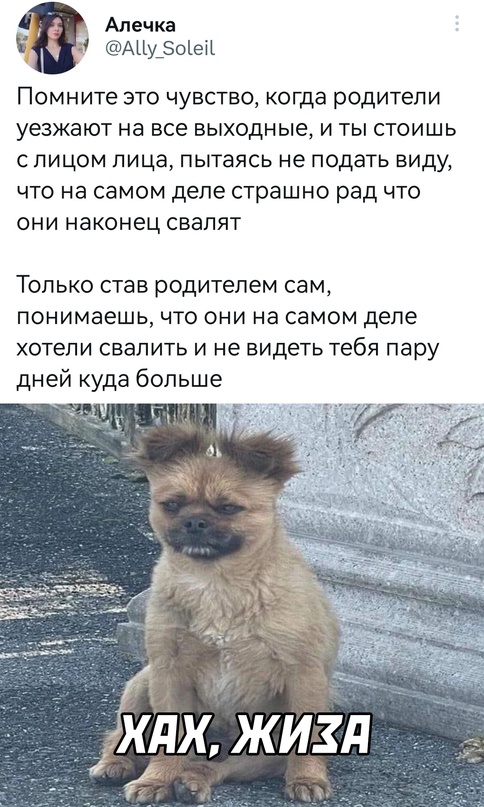Весёлый полтишок 25.04.23