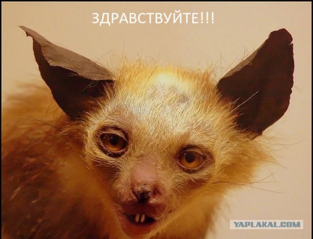 Признаки того,что у вашей женщины появился любовник...