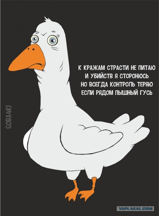 Рыбный день