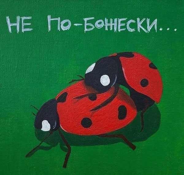 Набрел на склад баянов. Налетай