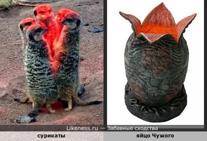 Тлидцать тли от 20 маЛта