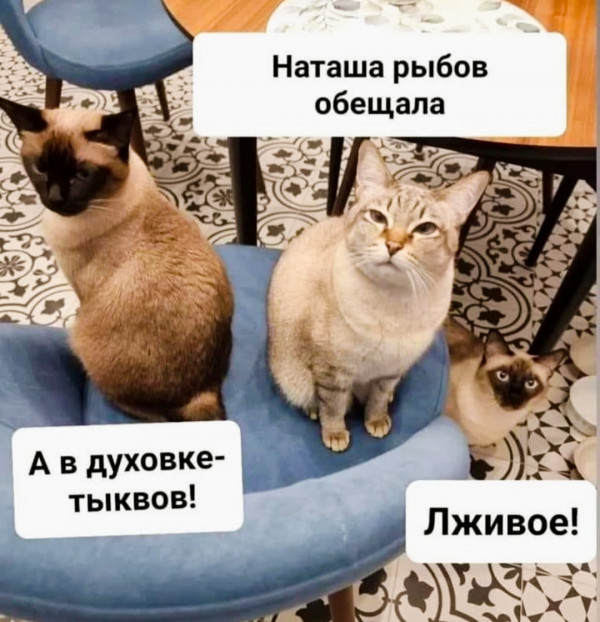 Всего понемногу. От 02.04.24
