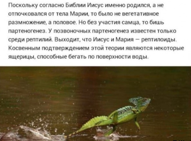 Так себе картинки 21.05.24