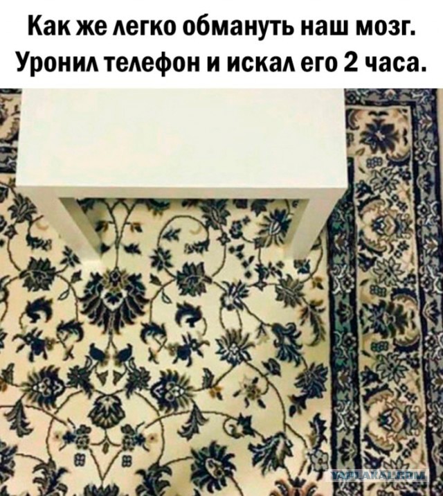 Так себе картинки 28.05.24