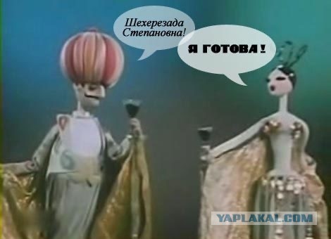 Жасмин