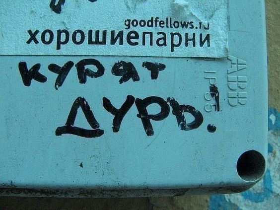 Прикольные и просто красивые картинки 23.08.2024
