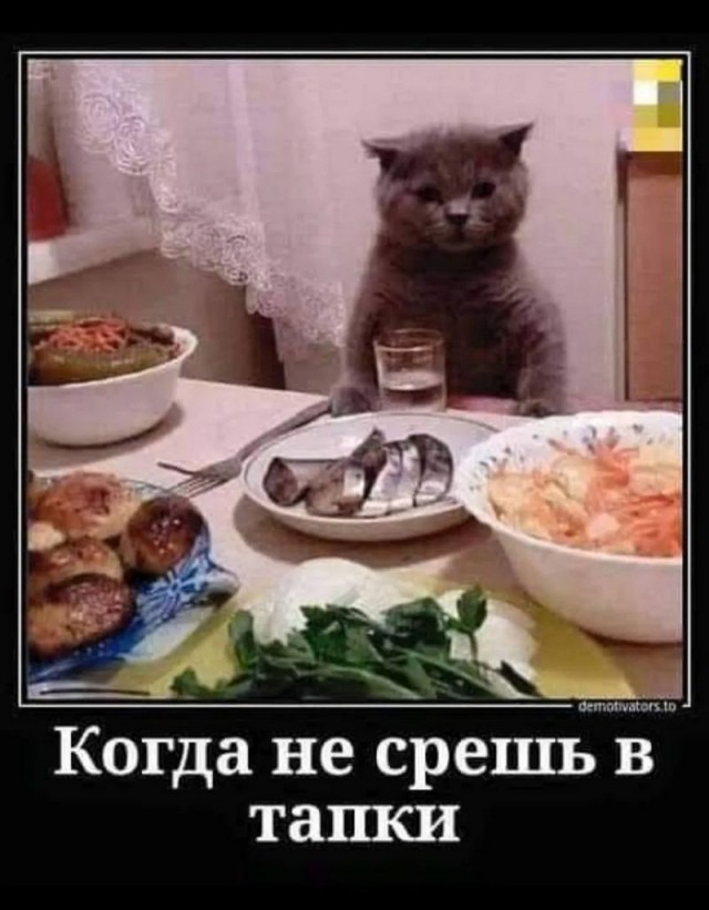 БаянЫ 2