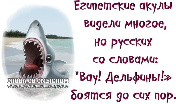 Акула откусила туристке руки, когда та попыталась сделать с ней селфи
