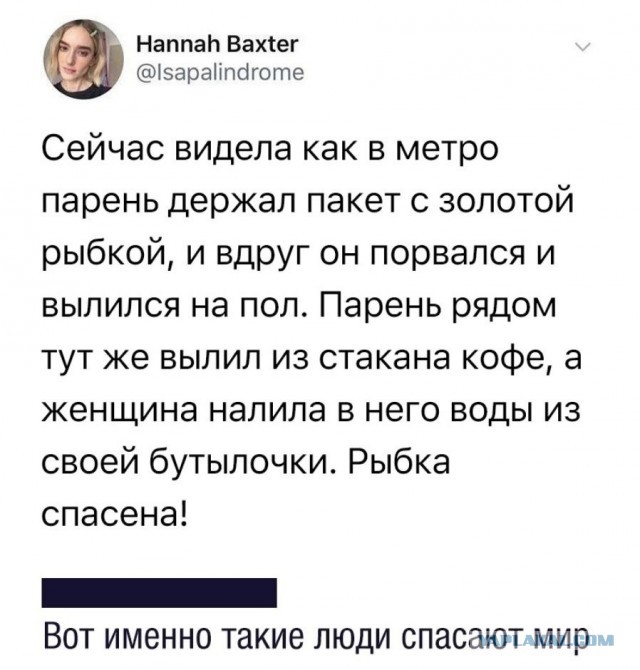 Так себе картинки 04.03.25
