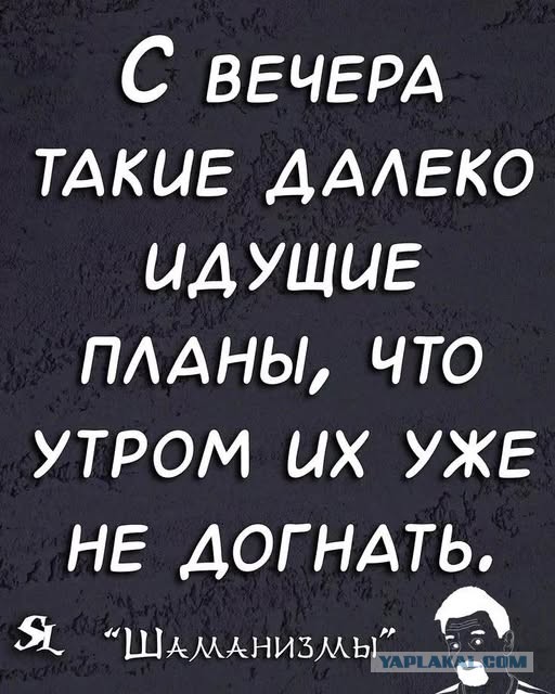 Веселые картинки в пятницу (07.11)