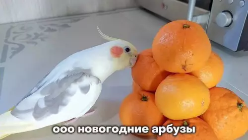 Вторника картинки