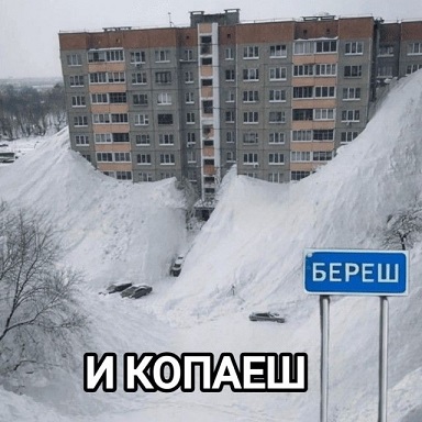 Сильный крот