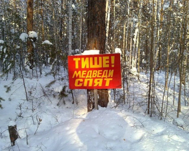 Пошло всё...