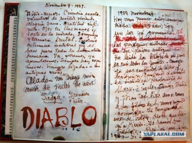 Боль и счастье (18+)