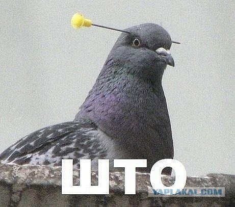Прощай Большой Взрыв